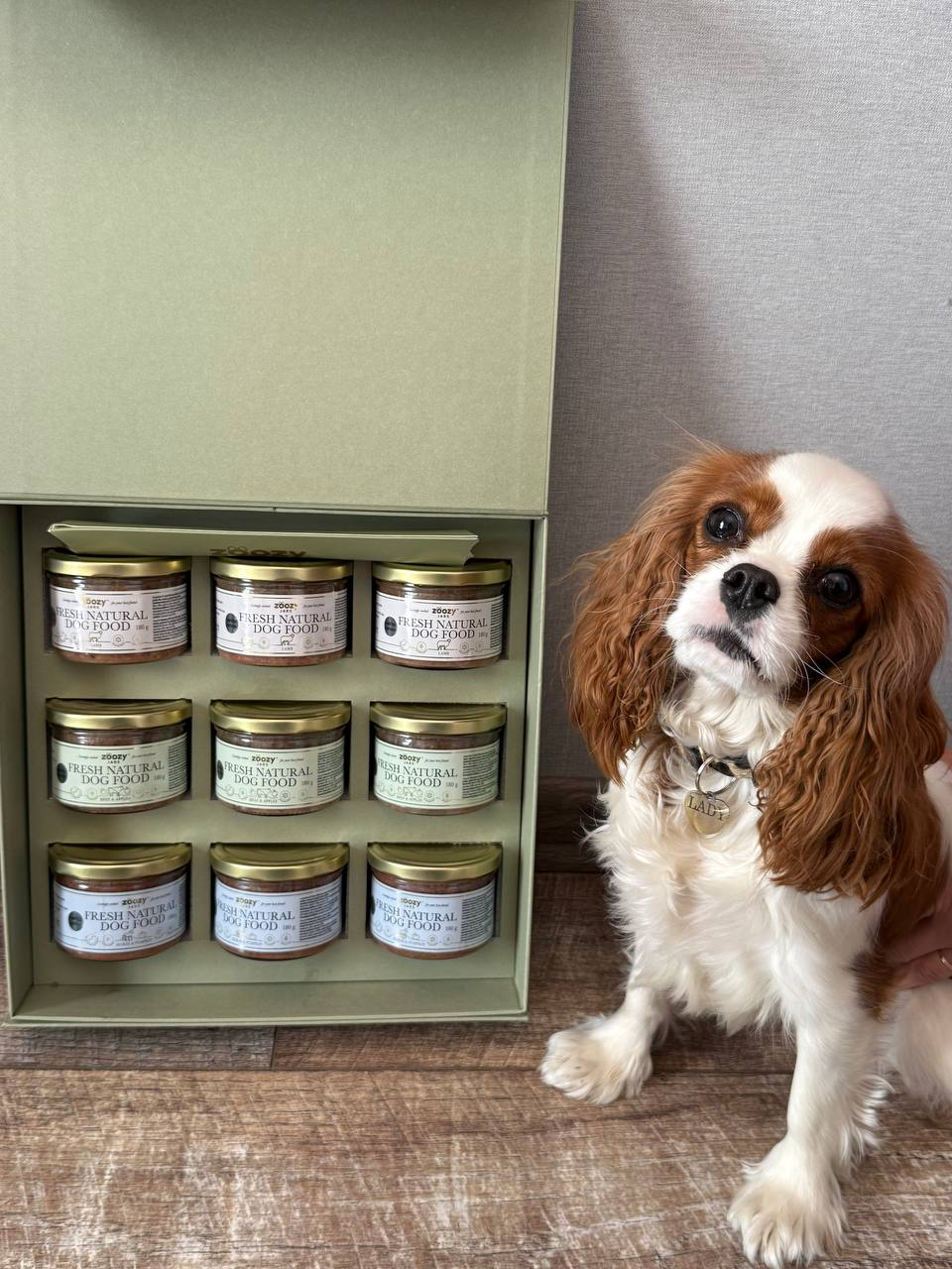 Cavalier beside an open box of Zoozy jars