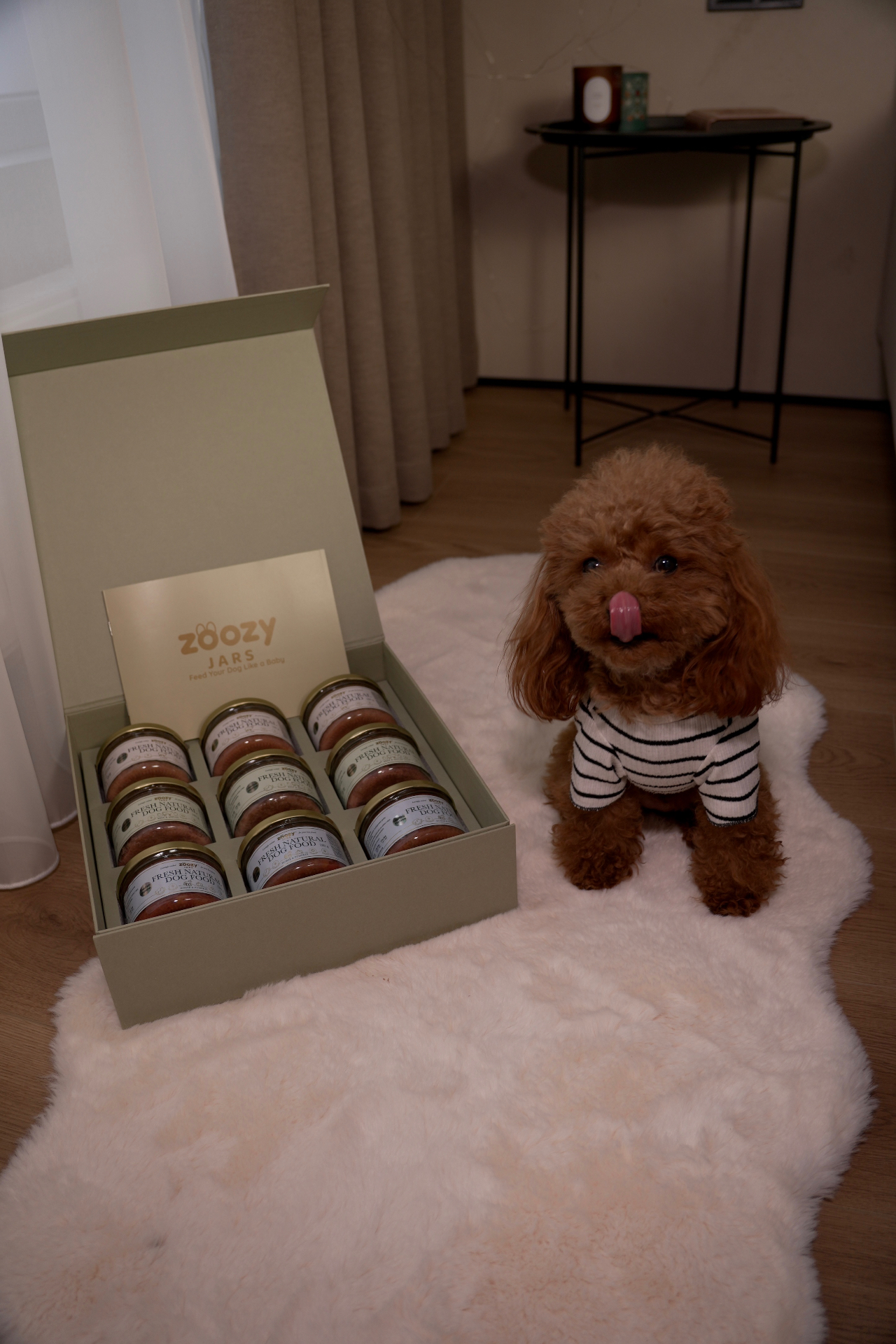 Toy poodle sitting beside Zoozy box