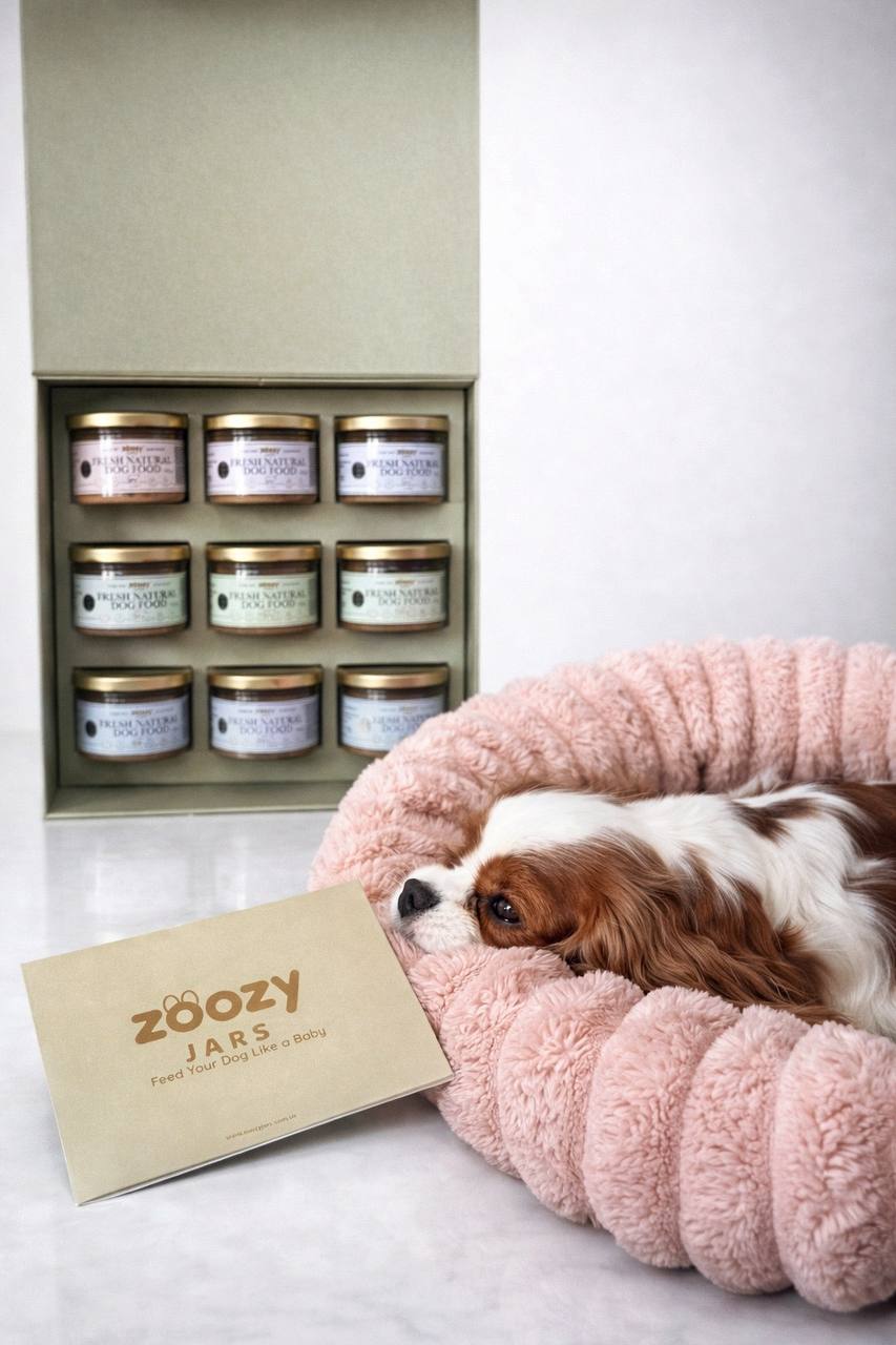 Zoozy Jars — fresh natural dog food in glass jars with a cute dog